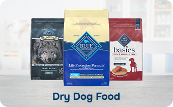 dry dog desktop.png