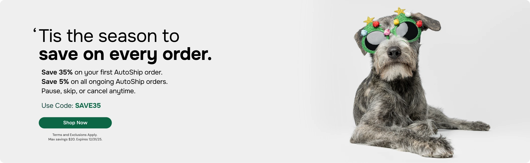 Winter theme SAVE35 Banner