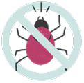 feature-icon