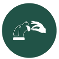 feature-icon
