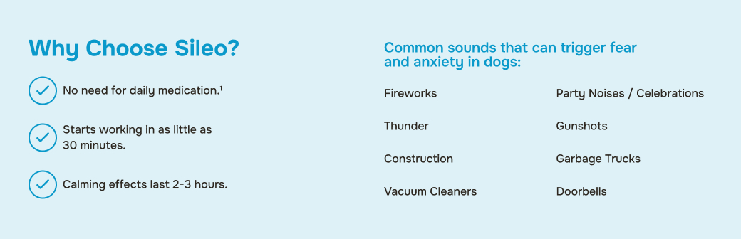 prod11783 - placement 4 - desktop.jpg