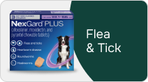 Flea & Tick - PLP Category - 212x118.png