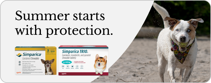 Flea & Tick Category banner