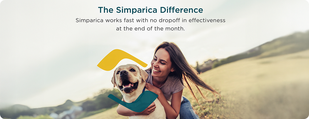 prod11716 - placement 3 - desktop.jpg