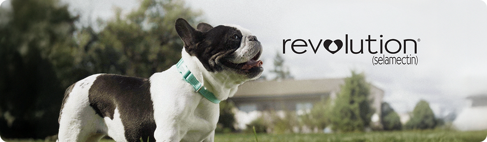 prod10366 - placement 1 - desktop.jpg