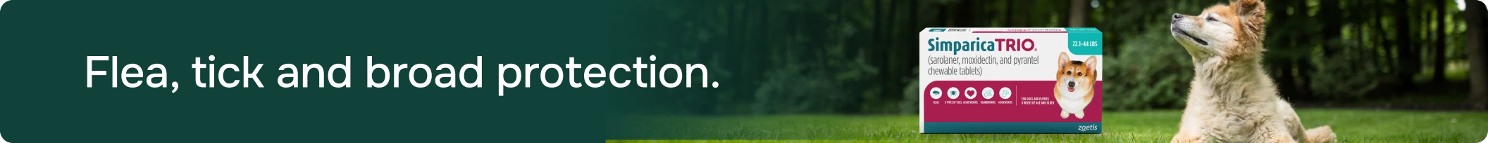 Flea and Tick Prevention Skinny Banner