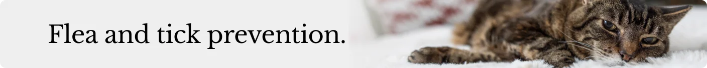 Flea and Tick Prevention Skinny Banner