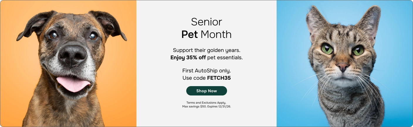 Senior Pet Month