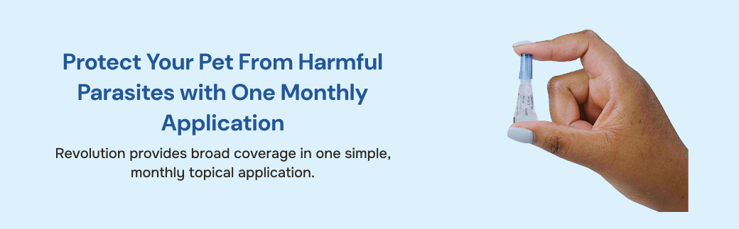 prod10265 - placement 2 - desktop.jpg