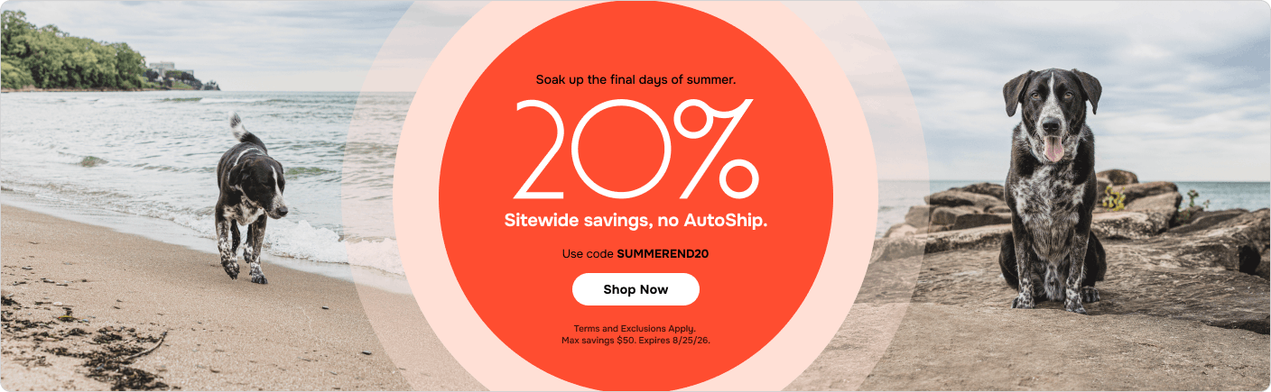 SUMMEREND20