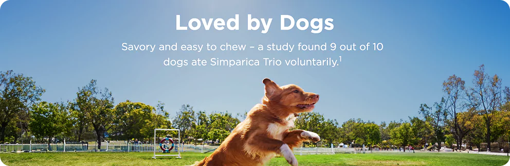 simparica-trio-banner-2.webp