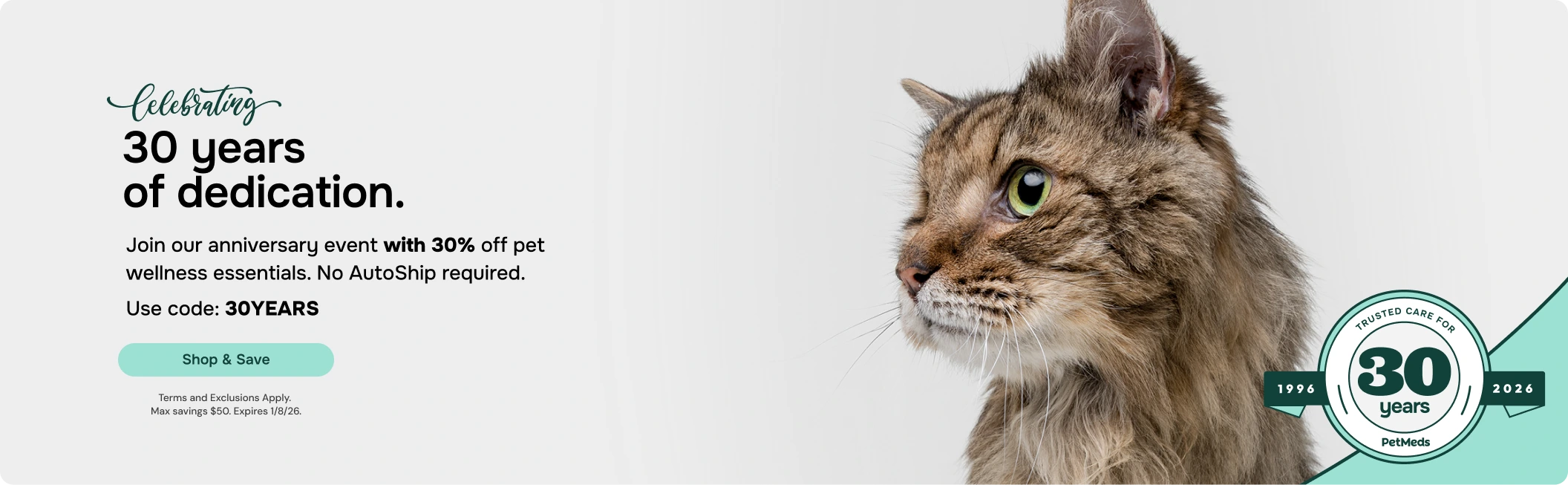 30 Years Anniversary Banner