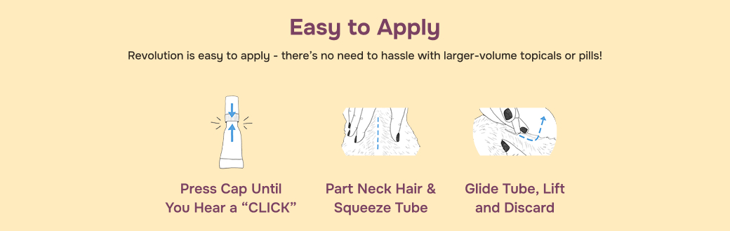 prod10364 - placement 5 - desktop.jpg