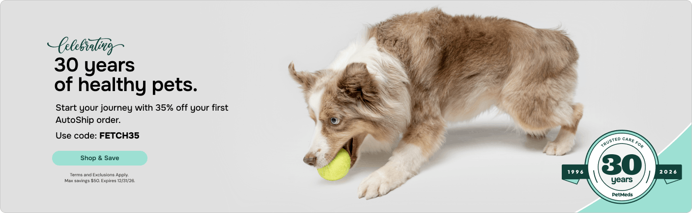 FETCH35 Evergreen