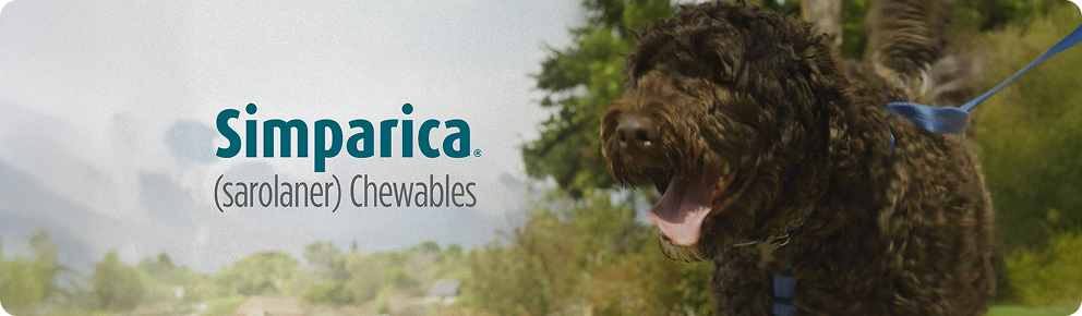 prod11716 - placement 1 - desktop.jpg