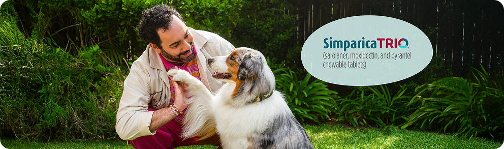 simparica-trio-banner-image.webp