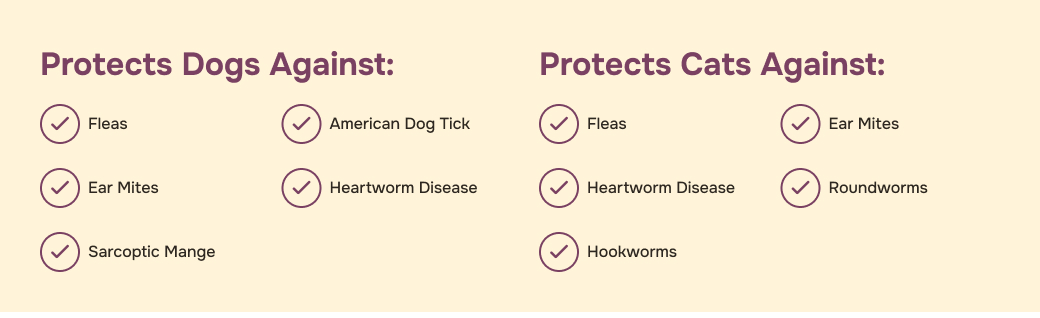 prod10364 - placement 3 - desktop.jpg