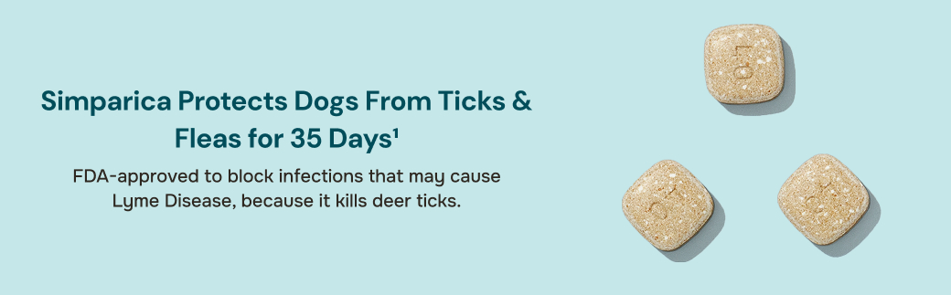 prod11716 - placement 2 - desktop.jpg