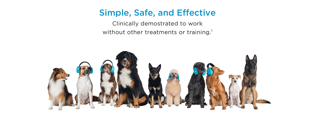 prod11783 - placement 3 - desktop.jpg