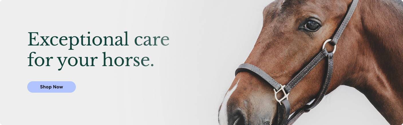 Exceptional care for your horse. 
