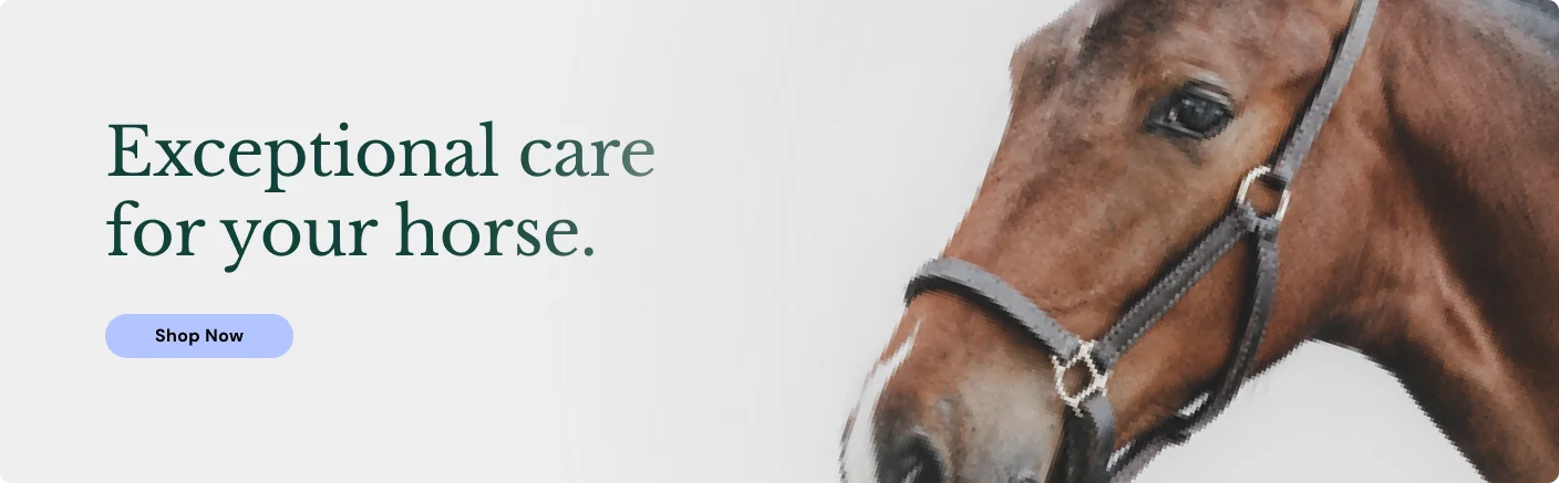Exceptional care for your horse. 