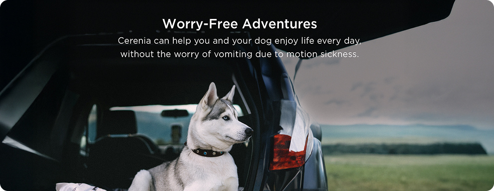 prod11268 - placement 3 - desktop.jpg