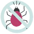 feature-icon