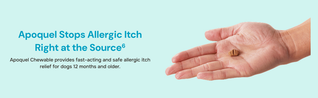 prod13392 - placement 2 -  desktop.jpg