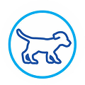 feature-icon