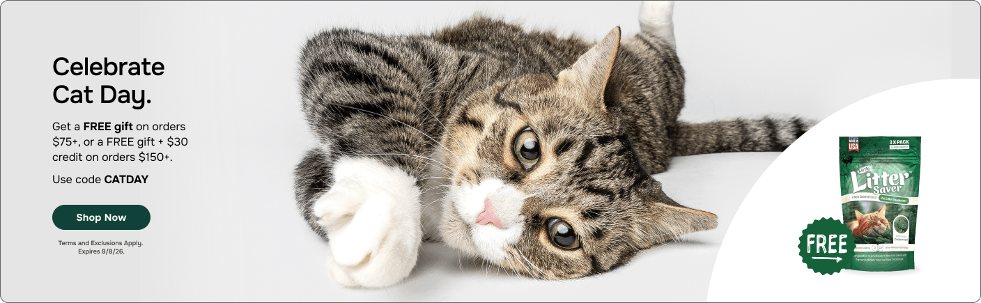 CATDAY