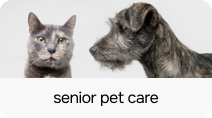 SeniorPetCare - PLP Category Card - 212 x 118.png