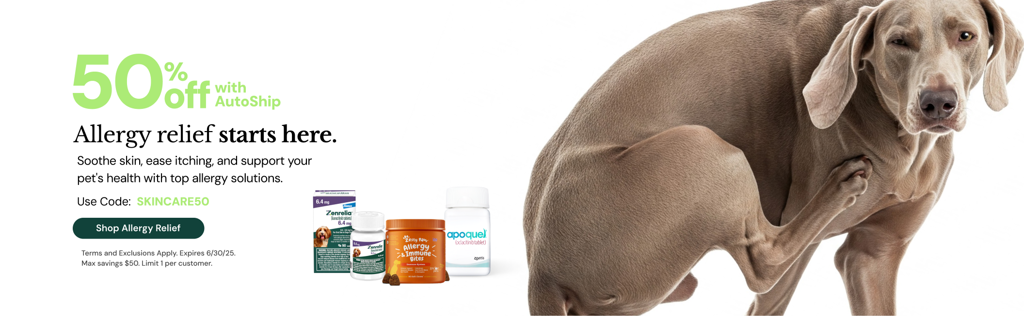 Allergy Relief Banner