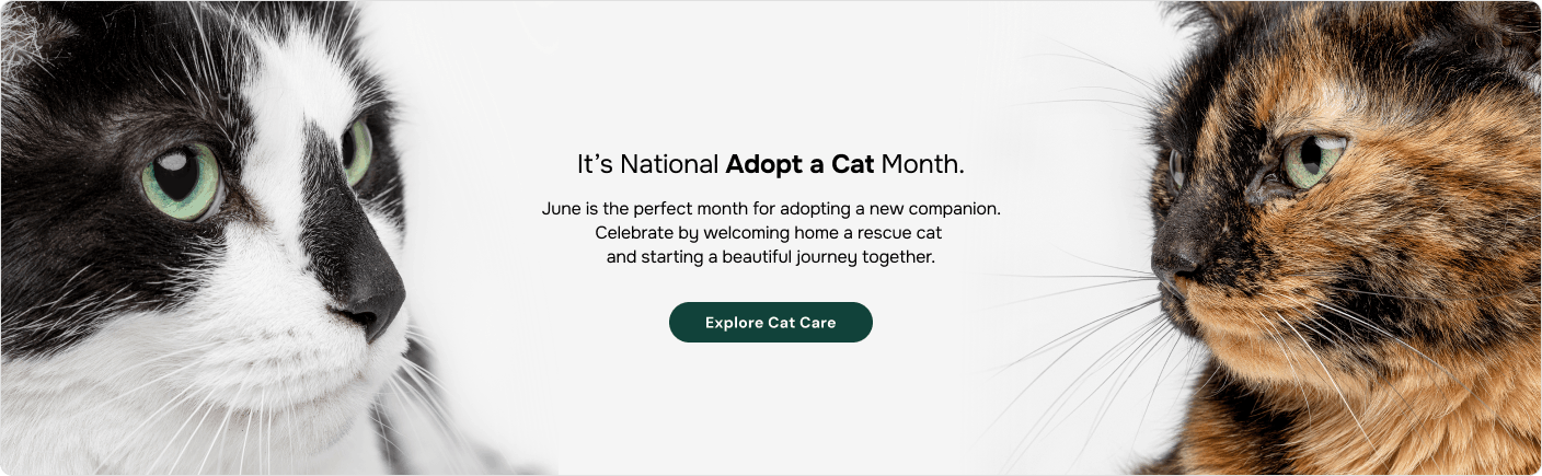 Pet Month Celebration