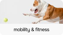 MobilityFitness - PLP Category Card - 212 x 118.png