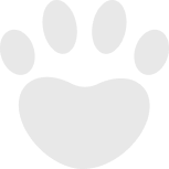 paw