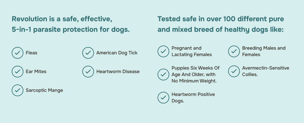 prod10366 - placement 4 - desktop.jpg