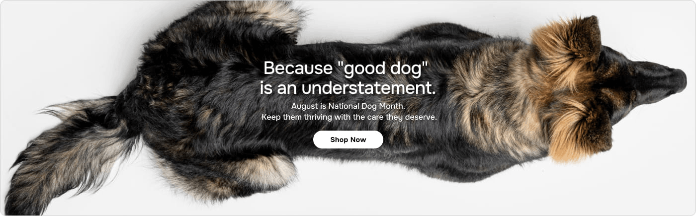 National Dog Month