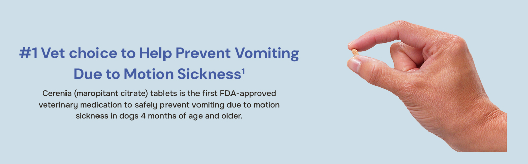 prod11268 - placement 2 - desktop.jpg