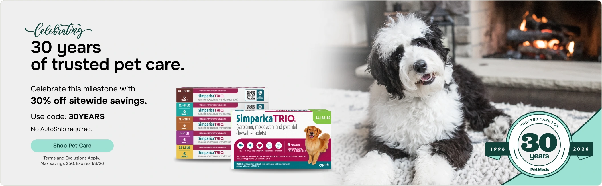 30 Years Anniversary Banner - Zoetis