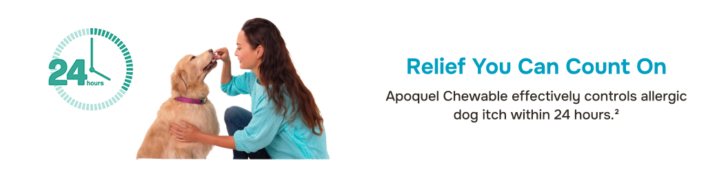 prod13392 - placement 3 - desktop.jpg