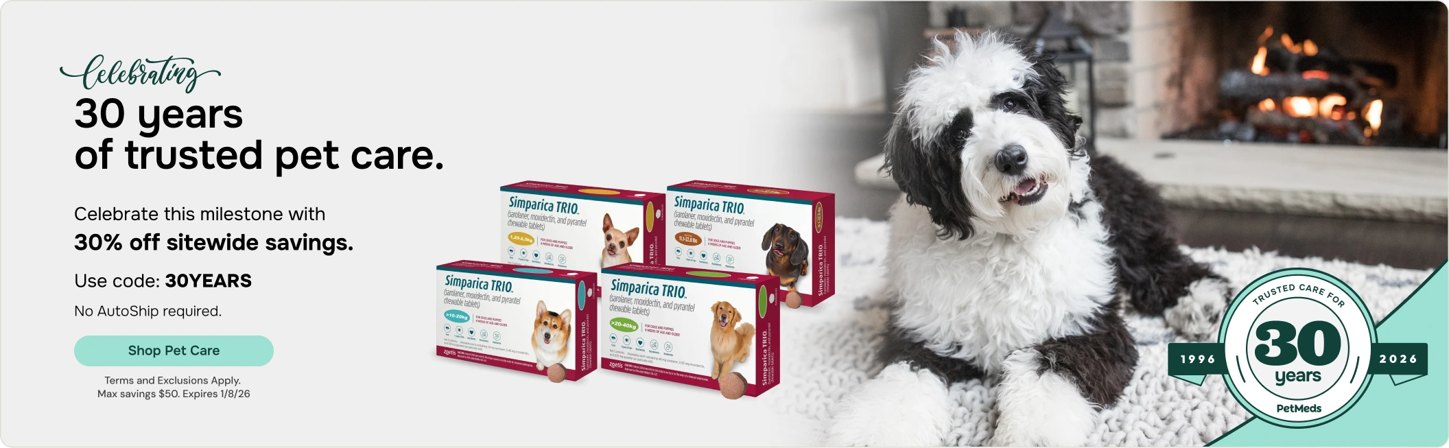 30 Years Anniversary Banner - Zoetis