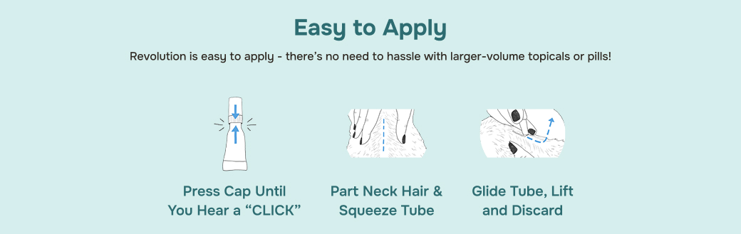 prod10366 - placement 5 - desktop.jpg