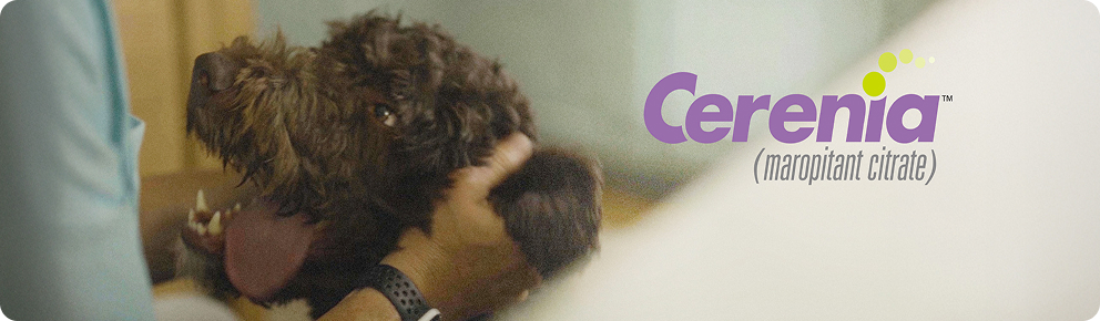 prod11268 - placement 1 - desktop.jpg