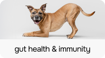 GutHealthImmunity - PLP Category Card - 212 x 118.png