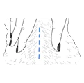 feature-icon