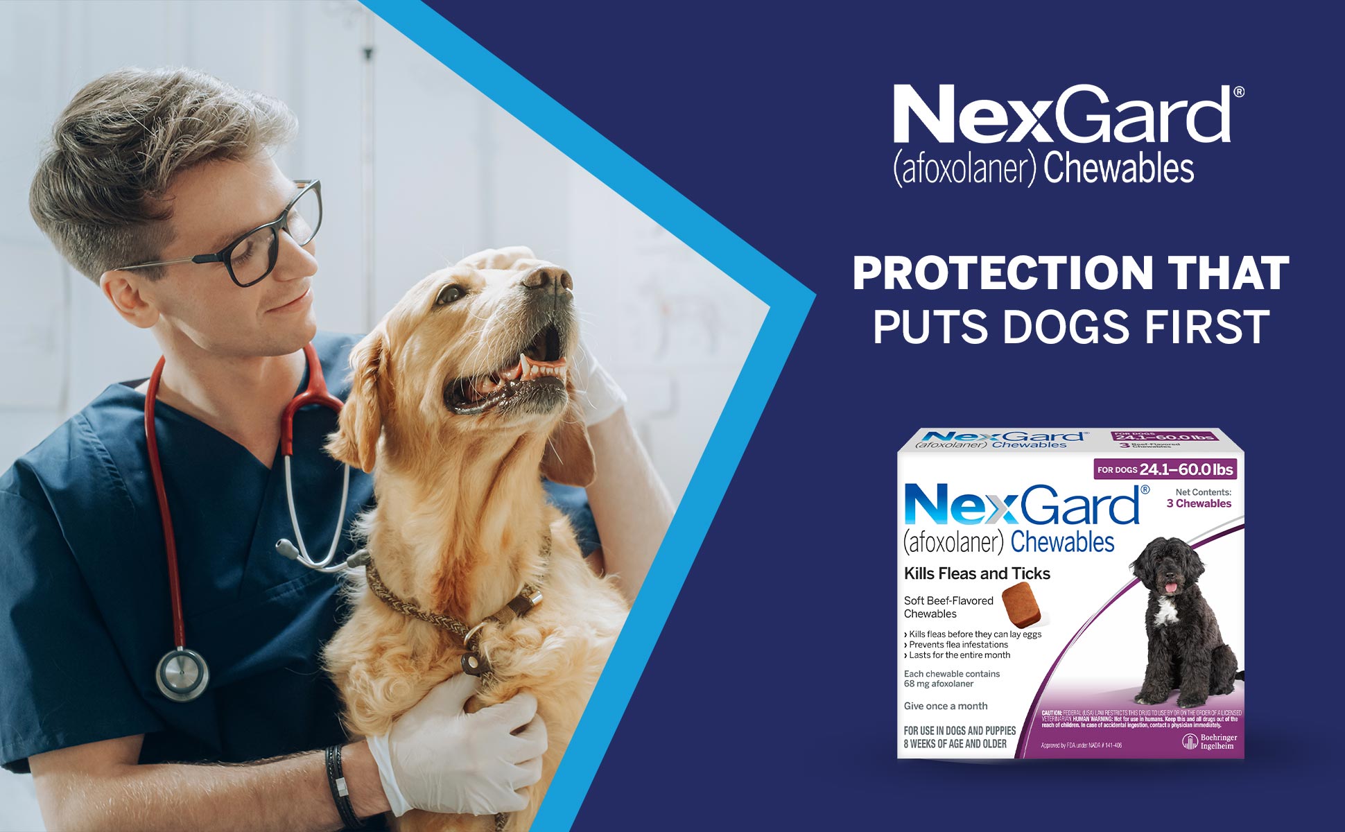 NexGard_Salsify_Header.jpg