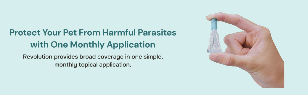 prod10366 - placement 2 - desktop.jpg