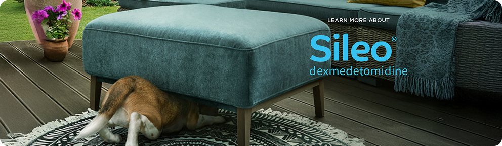 prod11783 - placement 1 - desktop.jpg