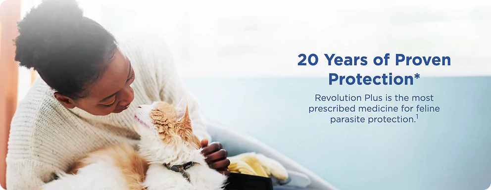 revolution-banner-image-2.webp