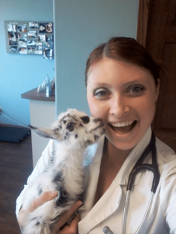 Dr. Chestnut, DVM